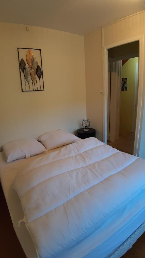Maison 6-9 Pers Pour Vacances Et Cure Thermale Le Mont-Dore Dış mekan fotoğraf