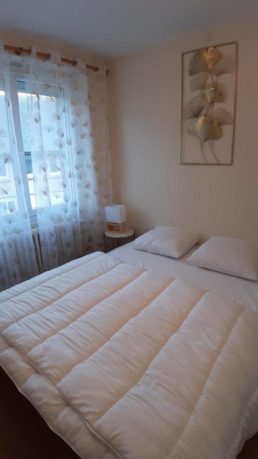 Maison 6-9 Pers Pour Vacances Et Cure Thermale Le Mont-Dore Dış mekan fotoğraf